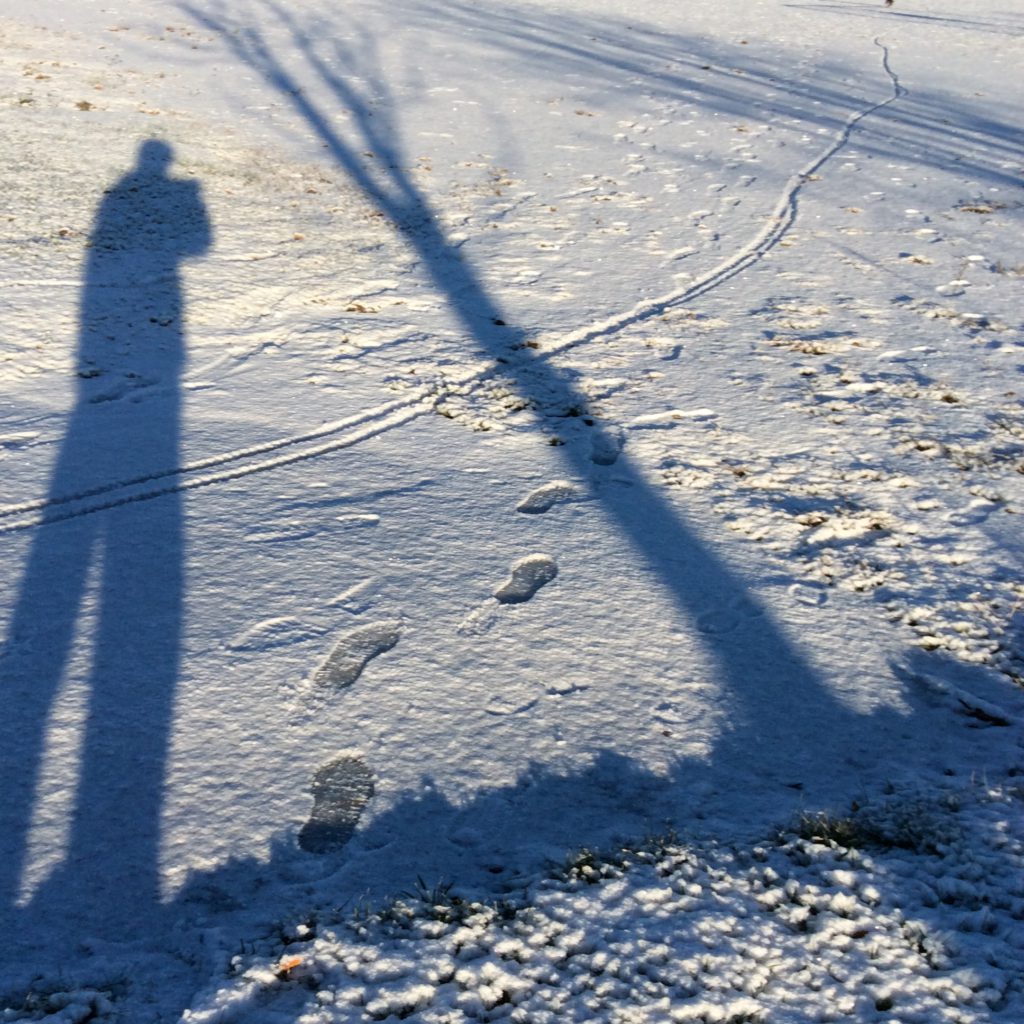 Två långa, blå skuggor. Ett barn och ett träd. På marken ligger ett tunt lager snö.