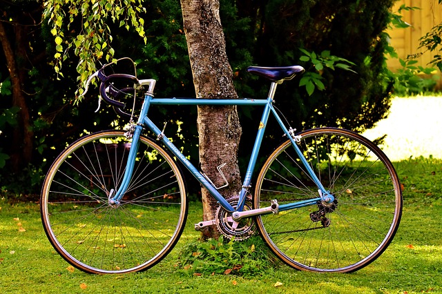 En blå cykel står lutad mot ett träd.