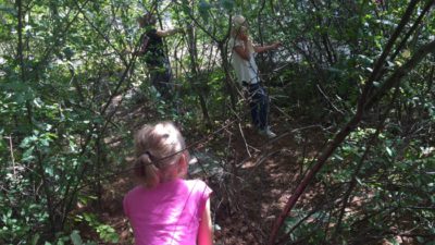 Barn leker i buskage