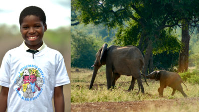 Ett skrattande barn och två elefanter i ett collage.