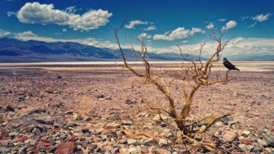 Death Valley