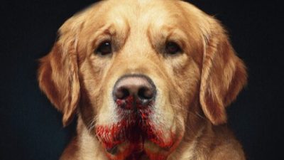 Veckans boktips: Parasiten och 11 andra rysare.